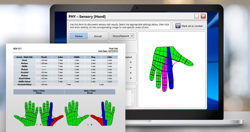 ns hand sensory report laptop